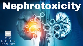 Renal Emergencies Nephrotoxicity [upl. by Zalucki]