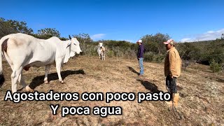 SE ESTÁN QUEDANDO SIN AGUA Y SIN PASTO ALGUNOS POTREROS PARA EL GANADO temporal 2023 [upl. by Pam]