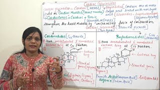 Cardiac Glycosides  Introduction to Cardiac Glycoside  Types of Cardiac Glycoside  Cardiotonics [upl. by Akcirehs]