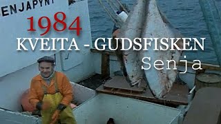 Kveita  Gudsfisken Kveitefiske vest av Senja 1984 [upl. by Seen]