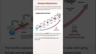 Biological Magnification class10 learnwithankit biomagnification class10science phoolifaacademy [upl. by Ettelrahc471]