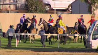 Kalgoorlie Cup Day October 7th 2023 Race 9 [upl. by Einitsed249]