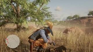 RDR2 Online Splintered Arrowhead  Hennigans Stead [upl. by Nosa]