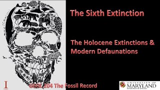 Lecture 26 The Sixth Extinction The Holocene Extinctions amp Modern Defaunations [upl. by Anod163]