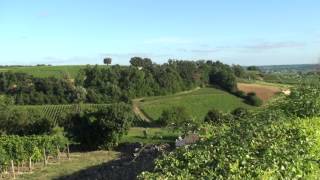 ST EMILION [upl. by Whitehurst]