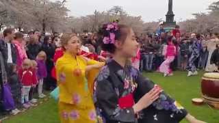 Bon Odori by NihonJin Kai 48  Copenhagen Sakura Festival 2015 [upl. by Brittney]