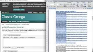 Multiple Sequence Alignment and Phylogenetic tree Bioinformatics [upl. by Masry840]