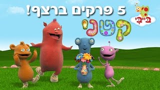 קטני  5 פרקים ברצף [upl. by Korff]