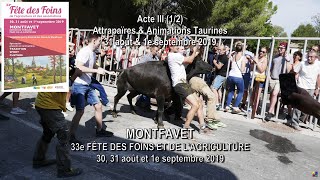 Fête des foins de lagriculture Montfavet 2019 Attrapaïres amp animations taurines part 45 [upl. by Mildrid]