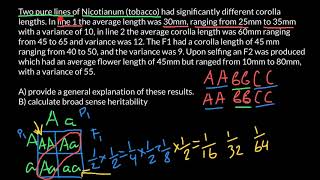 What is a pure line loss of heterozygosity inbreeding and hybrid [upl. by Aryamo6]