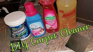 DIY Carpet Cleaner Dollar tree edition [upl. by Quint]