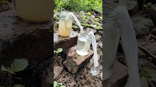 Making Amazing Dirty Water purification Filter 😱 Making Dirty Water Filter survival watercamping [upl. by Horst]