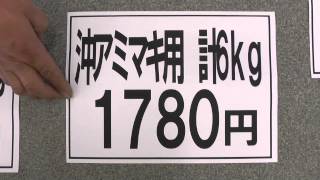 釣行費用を抑えるならアミエビを使おう！ [upl. by Haelhsa]