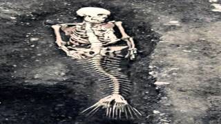 real mermaids found skeleton in africa [upl. by Torruella]