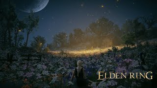 Elden Ring  Ambience  Hinterlands Music Wind Flowers [upl. by Namialus]