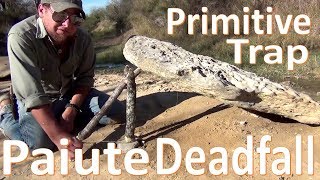 Paiute Deadfall Trap 101 Primitive Survival Technology [upl. by Ogden412]