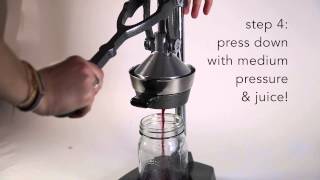 How To Juice A Pomegranate With The Pomegranate Juice Press [upl. by Peppi]