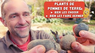 Bien choisir et bien faire germer ses plants de pommes de terre [upl. by Aeikan]