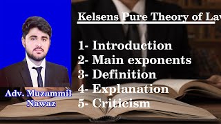 Pure theory of Law by Hans Kelsen  Grundnorm Basic Norm Video Lecture in Urdu \ Hindi [upl. by Halas]