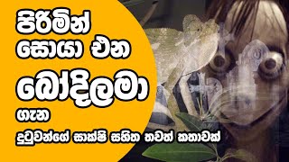 මැදියම් රැයේ පිරිමින් සොයා එන බෝදිලමා ගැන තවත් කතාවක්  Bodilama  Holman katha [upl. by Maghutte]