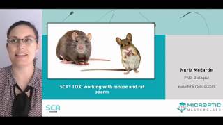 Webinar 6 SCA TOX working with mouse and rat sperm [upl. by Laroc]