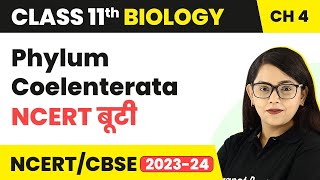 NCERT बूटी Phylum Coelenterata  Animal Kingdom  Class 11 Biology Chapter 4  NCERTCBSE [upl. by Molohs]