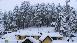 Trek to Kalatop Basecamp  Dalhousie  Invincible NGO [upl. by Anaigroeg138]