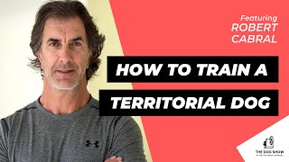 How to Train a Territorial Dog with Robert Cabral Episode 66 [upl. by Ahtera]