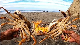 Cooking TWO HUGE Dungeness Crab on the Beach [upl. by Deidre263]