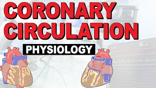 What is the PHYSIOLOGY of the coronary circulation [upl. by Marou161]