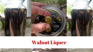 Walnut liqueur simple recipe [upl. by Nett649]