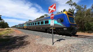 2502 amp 2525 Monomie NSW Mon 11th of Mar 2024 [upl. by Dniren987]