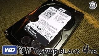 Un infinità di spazio  Western Digital Caviar Black 4TB [upl. by Terrence]