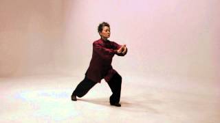 Simplified 24 Tai Chi routine [upl. by Eneryc]