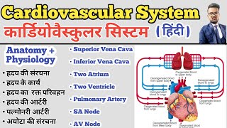 Cardiovascular System in hindi  Structure of Heart  Blood Circulation  SA Node AV Node  Artery [upl. by Aiyot]