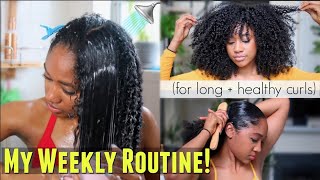 🚿My Weekly Natural Hair Regimen How I Refresh  Maintain EVERYDAY Definition Long  Healthy [upl. by Torin163]