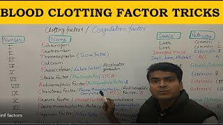 Blood Clotting Factors Tricks  Clotting Factor Mnemonics  Coagulation Factors  NEET BIOLOGY [upl. by Tennos]