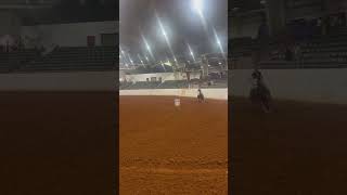 hattiesburg hustle check 📌 hesgettingboogie bigblackrivertack barrelracing animals horserodeo [upl. by Arrik]