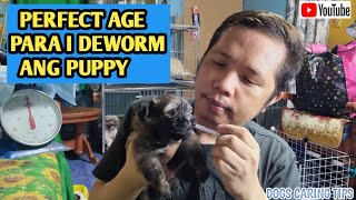 HOW TO DEWORM YOUR PUPPIES AT HOME1ST DEWORMING NILA [upl. by Derwood]