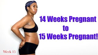 14 WEEKS PREGNANT 15 WEEKS PREGNANT [upl. by Aroved]