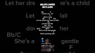 WILDFLOWER CHORDS AND LYRICS  COVER  WILDFLOWER BY SKYLARK [upl. by Adnama893]