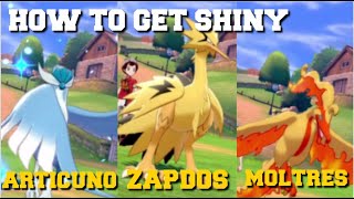 HOW TO GET SHINY GALARIAN ARTICUNOZAPDOS amp MOLTRES IN POKEMON SWORD AND SHIELD [upl. by Rahab893]