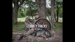 4 LONGBEARDS IN 1 HUNT  TENNESSEE TURKEY HUNTING [upl. by Sperry]