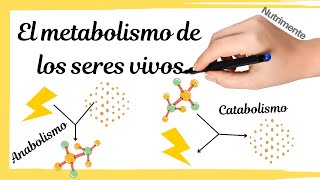 El METABOLISMO de los seres vivos ANABOLISMO y CATABOLISMO [upl. by Aihtenak]