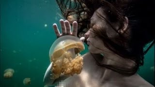 Why Supermodel Amber Arbucci Swam With 5 Million Jellyfish [upl. by Anelec]