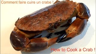 Comment Cuire un Crabe  Tourteau  Cancer Pagurus  How To Cook a Brown Crab  Bretagne  France [upl. by Euqinahs]