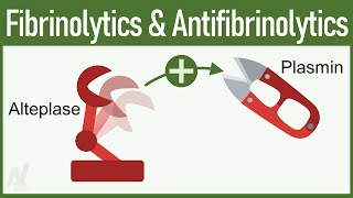 Fibrinolytics amp Antifibrinolytics Pharmacology [upl. by Alakcim]