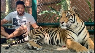 Ethiopia የሌለ ቀልድ  ሄኖክ ወንድሙ ከነብሩ ጋር ጨዋታ  Henok Scary Moment With Tiger New Video 2020 [upl. by Verile]