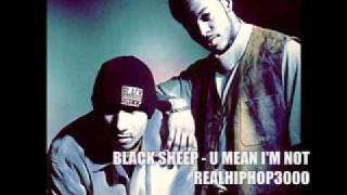 Black Sheep  U Mean Im Not Hip Hop  Hiphop [upl. by Naleek887]