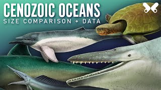 Aquatic animals of the Cenozoic Size comparison paleoart [upl. by Drannek]